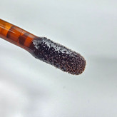 تینت لب قهوه ای اسنس