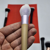 فرچه روژگونه تک