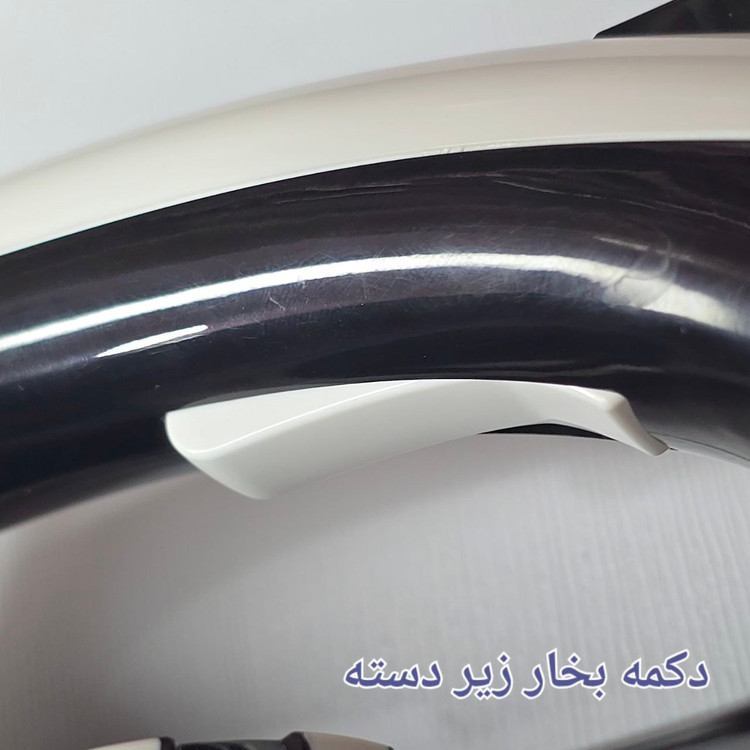 اتو بخار مخزن دار روگن RU-1030