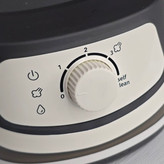 اتو بخار مخزن دار روگن RU-1030