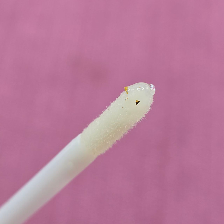 برق لب اکلیل دار کویدن رز